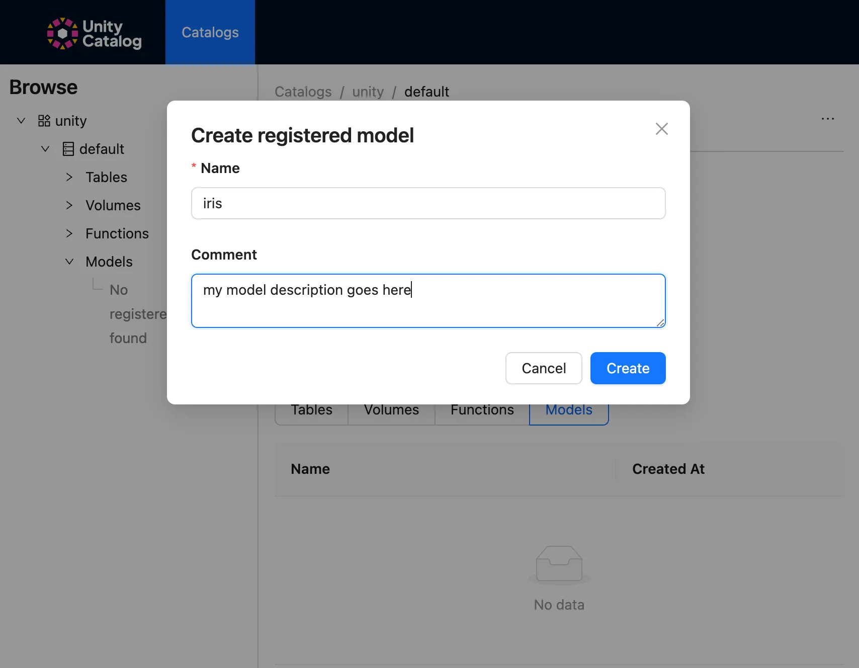 Naming the Model and Its Comments