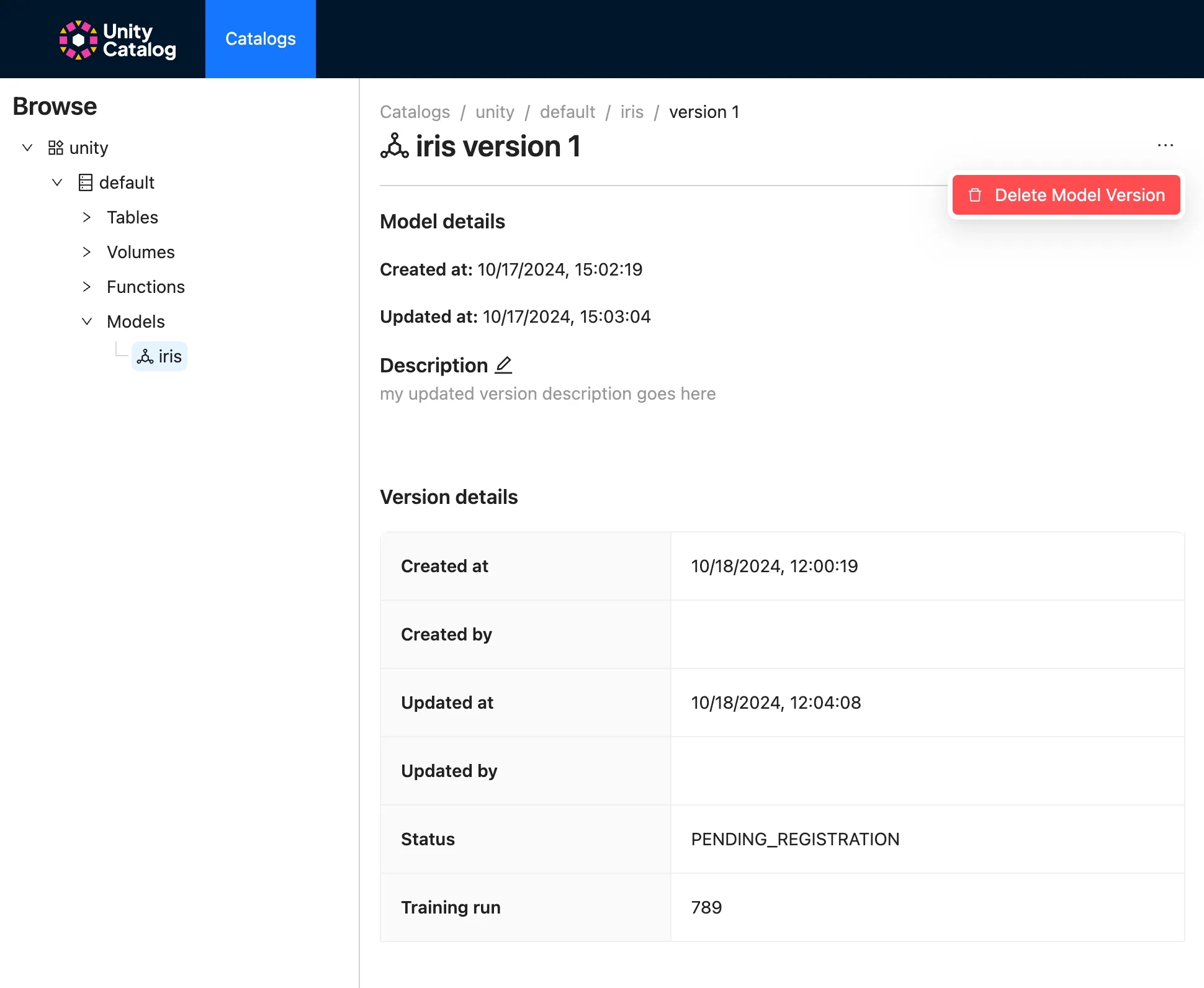 Deleting the Model Version