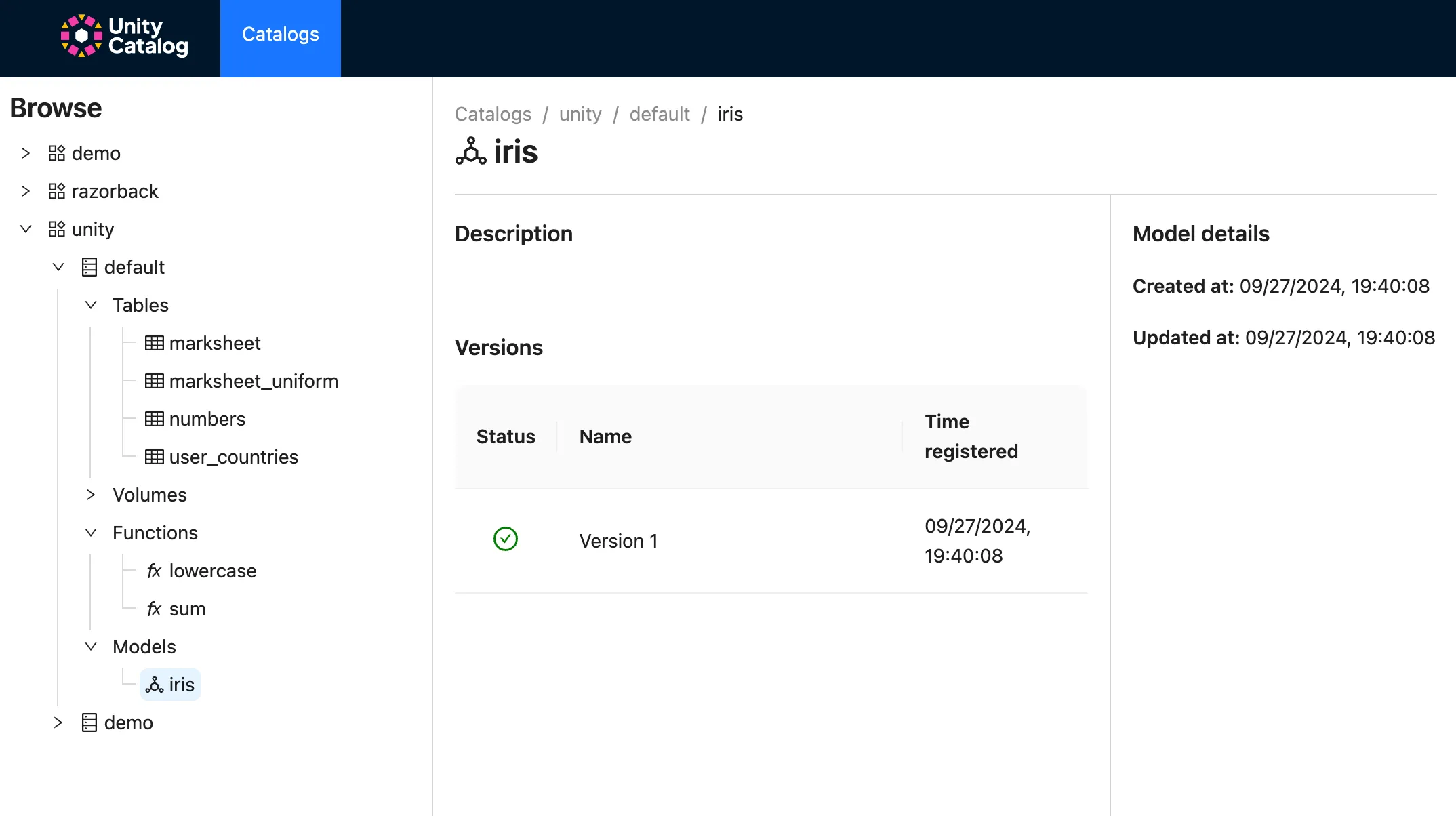 Showing Model Version
