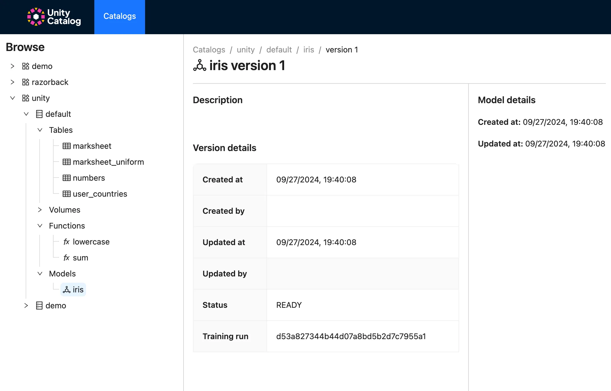 Show model Version Metadata